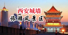 我要操大黑逼黄片中国陕西-西安城墙旅游风景区
