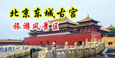 男人操女人逼视频黄色网站中国北京-东城古宫旅游风景区